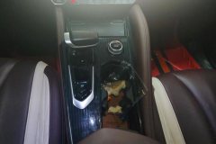 2022 Geely Auto Xingyue L 2021 2.0TD AT DCT EVO2WDSmart Premium #16