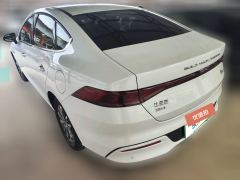 2025 BYD Qin Plus 2024 Glory 1.5L AT DM-i 55KMLeading #9