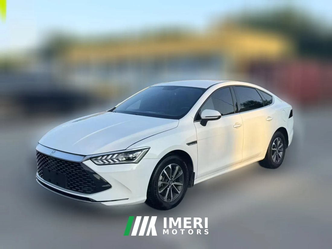 2023 BYD Qin Plus 2023 Champion 1.5L AT DM-i 55KMSurpass
