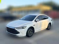 2023 BYD Qin Plus 2023 Champion 1.5L AT DM-i 55KMSurpass #1