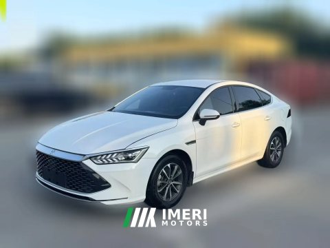 2023 BYD Qin Plus 2023 Champion 1.5L AT DM-i 55KMSurpass