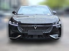 2024 Voyah Zhuiguang 2024 PHEV 4WDSuperLong RangeExecutive #3