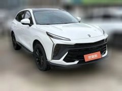 2023 Dongfeng Fengxing Fengxing T5 Evo 2024 1.5TD DCT Storm Platinum Edition #2