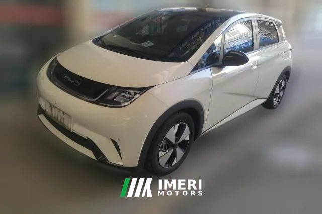 2023 BYD Dolphin 2023 420km Fashion