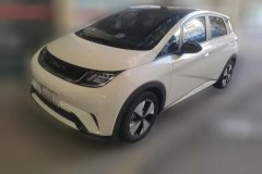 2023 BYD Dolphin 2023 420km Fashion #1