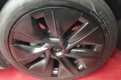 2024 Tesla Model Y 2023 rear wheel driveEdition #6