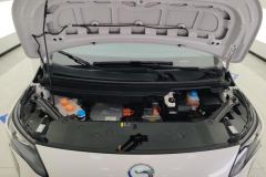 2023 Aion Y 2023 Plus 510 Smart Lead #10