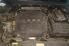 2021 Volkswagen Magotan 2020 2.0T AT 330TSILeading #10