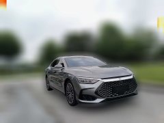 2022 BYD Han 2022 1.5T AT DM-i 121KM Exclusive #3