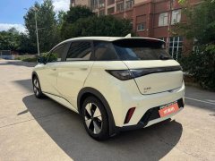 2023 BYD Dolphin 2023 420km freeEdition #10