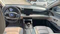 2021 BYD E9 2021 Business #2
