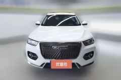 2021 Haval H6 2021 1.5T AT ChampionGDI #2
