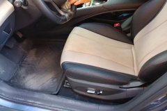 2026 BYD Dolphin 2025 420km freeEdition #8