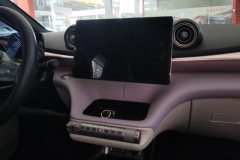 2022 BYD Dolphin 2021 405km Fashion #13