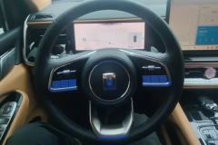 2024 Tank 500 PHEV 2024 Hi4-T 2.0T AT #15