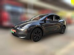 2024 Tesla Model Y 2024 Long Rangeall wheel driveEdition #1
