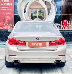 2019 BMW 5 Series 2019 2.0T AT 530LiLeadingLuxury Pkg #8