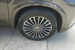 2025 Dongfeng Fengshen Dongfeng Fengshen L8 2025 185KMdreamEdition #6