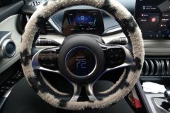 2022 BYD Yuan Plus 2022 510KM Honor #15