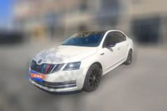 2018 Škoda Octavia 2018 1.4T AT TSI280Luxury #1
