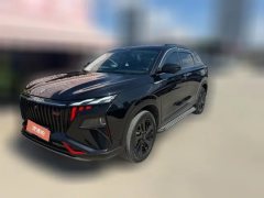 2024 Dongfeng Fengshen Haoji 2024 Mach Power 1.5T AT Luxury #1
