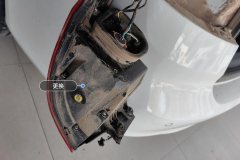 Left Rear Taillight Assembly