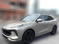 2022 Dongfeng Fengxing Fengxing T5 Evo 2021 1.5TD AT DCTPlatinum #1