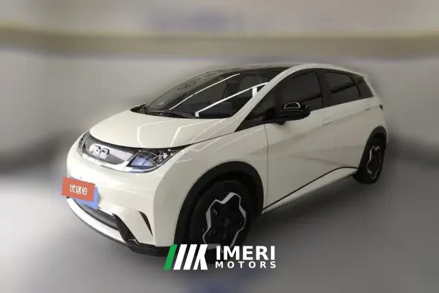 2023 BYD Dolphin 2021 405km Fashion