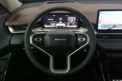 2022 Haval H6 2021 1.5T AT No.3generation2WDMax #15