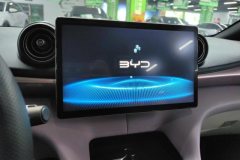 2022 BYD Dolphin 2021 401km knightEdition #13