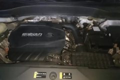 2022 GAC Trumpchi Trumpchi GS8 2022 PilotSeries 2.0TGDI AT 2WDLuxurySmart Connect（7Seat） #10