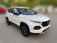 2019 Baojun 510 2018 1.5 AT AnniversarySpecial #3