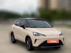 2023 Neta AYA 2023 318 Lite #3