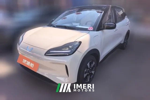 2026 Wuling Motors Wuling Bingo Plus 2024 330km 5SeatEdition
