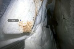 Left Front Carpet