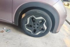 2022 BYD Dolphin 2021 405km Fashion #6