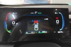 2024 BYD Qin Plus 2024 Glory 1.5L AT DM-i 55KMLeading #14