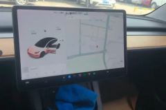 2021 Tesla Model 3 2021 StandardBattery lifeRWDUpgradeEdition #13