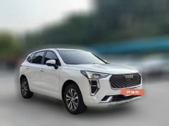 2022 Haval Chulian 2021 1.5T AT Large1Edition #3