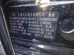 2025 Tank 300 PHEV 2024 2.0T AT Hi4-T #9