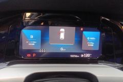 2021 Volkswagen Golf 2021 1.4T AT 280TSI ProFirst Edition #14