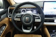 2023 Tank 500 PHEV 2023 2.0T AT Hi4-T #15