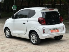 2022 Roewe Clever 2022 311kmVitality BoboEdition #6