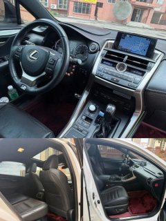 2015 Lexus NX 2016 2.0T AT 200t F-SPORT4WD (Imported) #13