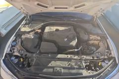 2021 BMW 3 Series 2021 Facelift II 2.0T AT 325Li MM Sport Shadow #10