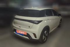 2023 BYD Dolphin 2023 420km Fashion #3