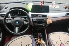 2021 BMW X2 2021 2.0T AT xDrive25i MSport Pkg4WD #12