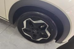 2024 BYD Dolphin 2025 420km vitalityEdition #6