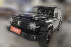 2023 Tank 300 2023 Off-road 2.0T AT conqueror #1