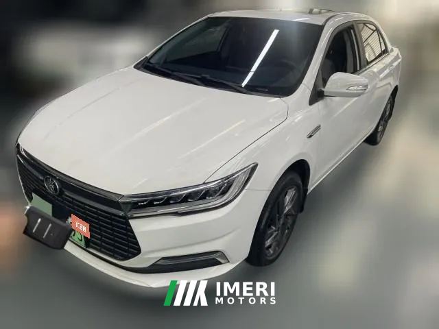 2020 BYD Qin New Energy 2019 highRangeLuxury EV
